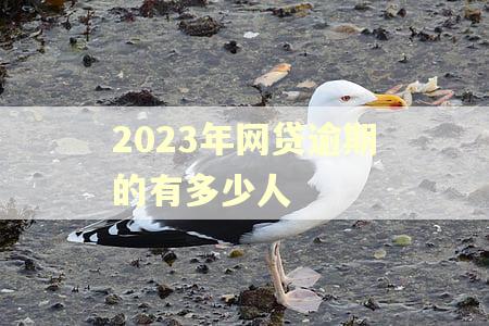 2023年网贷逾期的有多少人