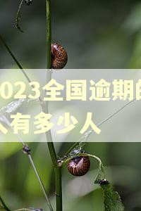 2023全国逾期的人有多少人