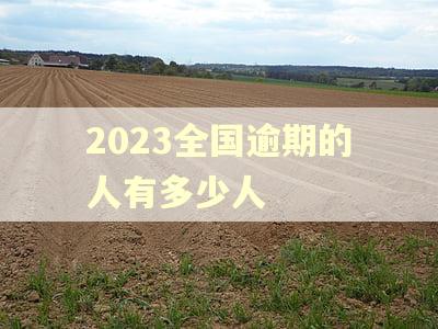2023全国逾期的人有多少人