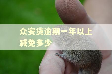 众安贷逾期一年以上减免多少 众安贷逾期一年以上减免多少