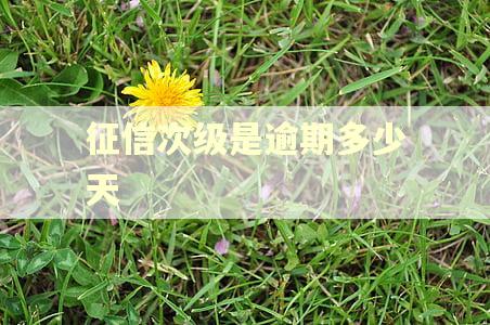 征信次级是逾期多少天