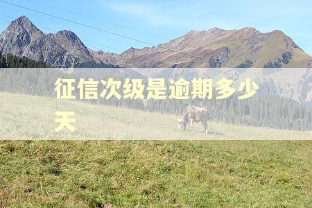 征信次级是逾期多少天