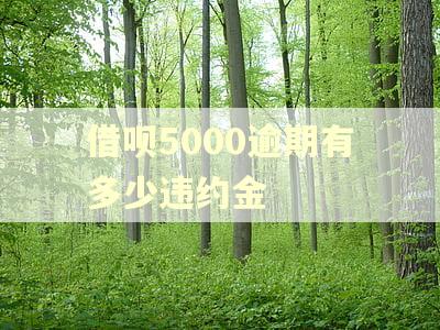 借呗5000逾期有多少违约金