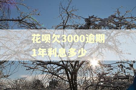 花呗欠3000逾期1年利息多少