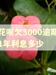 花呗欠3000逾期1年利息多少 花呗欠3000逾期1年利息多少