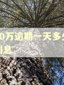 20万逾期一天多少利息 20万逾期一天多少利息