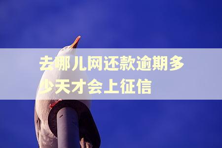去哪儿网还款逾期多少天才会上征信