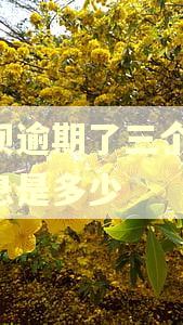 花呗逾期了三个月,利息是多少