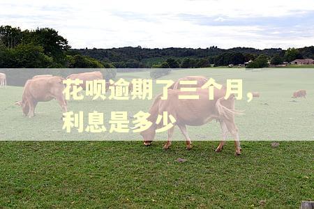 花呗逾期了三个月,利息是多少