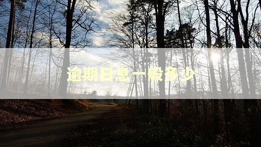 逾期日息一般多少