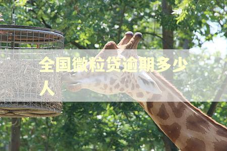 全国微粒贷逾期多少人