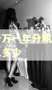 五十万一年分期逾期利息多少