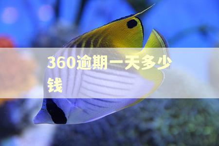 360逾期一天多少钱