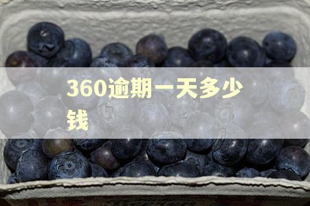360逾期一天多少钱