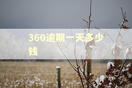 360逾期一天多少钱
