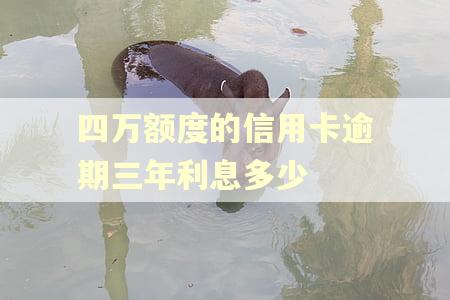 四万额度的信用卡逾期三年利息多少
