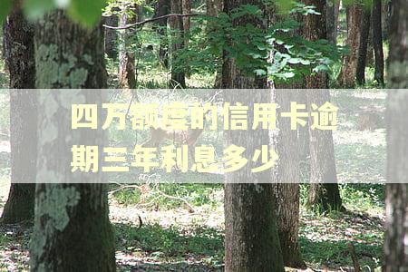 四万额度的信用卡逾期三年利息多少