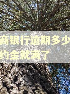 工商银行逾期多少天违约金就满了