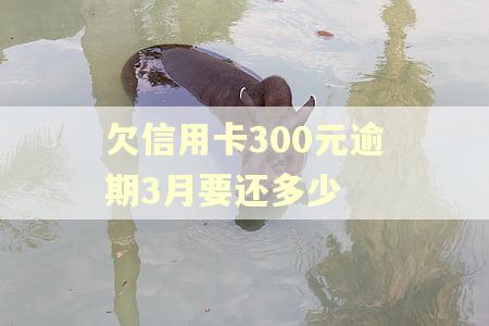 欠信用卡300元逾期3月要还多少 欠信用卡300元逾期3月要还多少