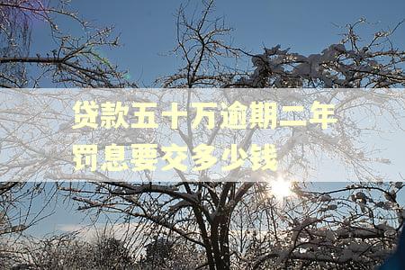 贷款五十万逾期二年罚息要交多少钱