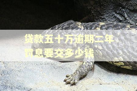 贷款五十万逾期二年罚息要交多少钱