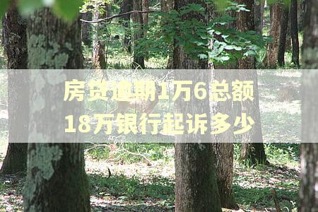 房贷逾期1万6总额18万银行起诉多少