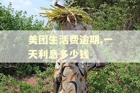 美团生活费逾期,一天利息多少钱