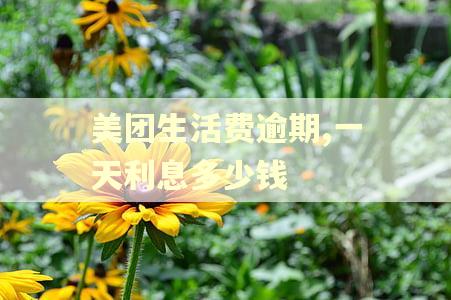 美团生活费逾期,一天利息多少钱