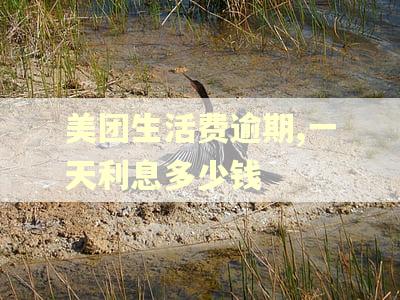 美团生活费逾期,一天利息多少钱