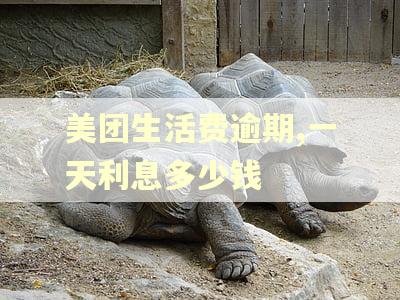 美团生活费逾期,一天利息多少钱