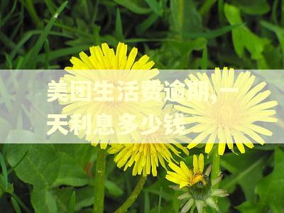 美团生活费逾期,一天利息多少钱