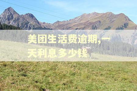 美团生活费逾期,一天利息多少钱