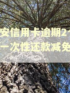平安信用卡逾期2个月一次性还款减免多少
