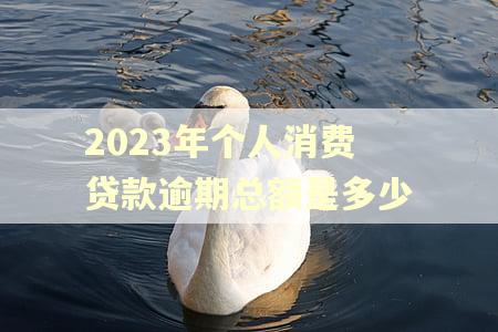 2023年个人消费贷款逾期总额是多少
