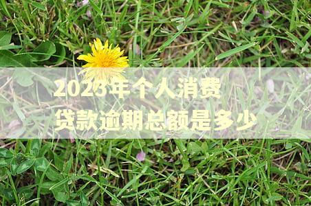 2023年个人消费贷款逾期总额是多少