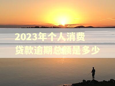 2023年个人消费贷款逾期总额是多少