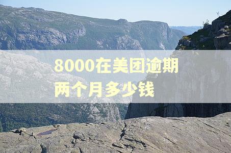 8000在美团逾期两个月多少钱