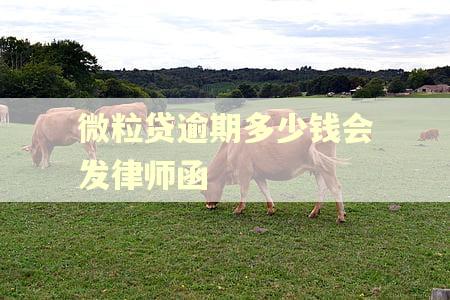 微粒贷逾期多少钱会发律师函 微粒贷逾期多少钱会发律师函