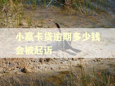 小赢卡贷逾期多少钱会被起诉