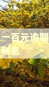 花呗一百元逾期三年多少利息