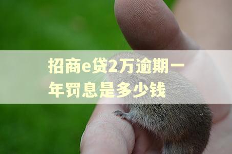 招商e贷2万逾期一年罚息是多少钱
