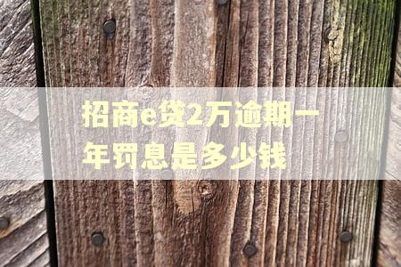招商e贷2万逾期一年罚息是多少钱