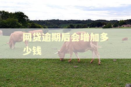 网贷逾期后会增加多少钱 网贷逾期后会增加多少钱