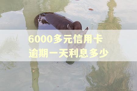 6000多元信用卡逾期一天利息多少