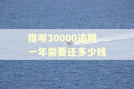 借呗30000逾期一年需要还多少钱