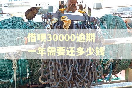 借呗30000逾期一年需要还多少钱