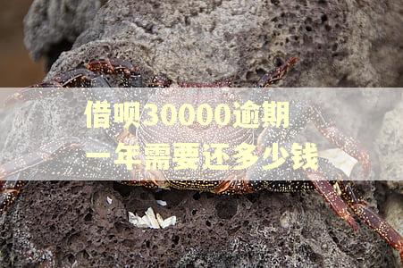 借呗30000逾期一年需要还多少钱