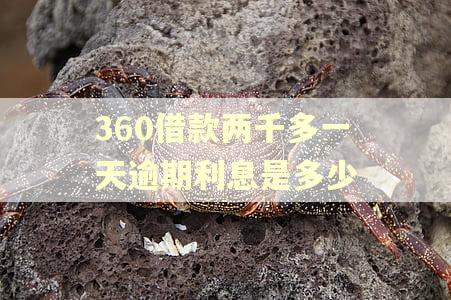 360借款两千多一天逾期利息是多少