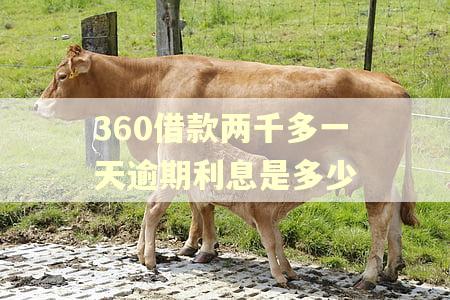 360借款两千多一天逾期利息是多少