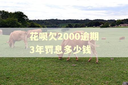 花呗欠2000逾期3年罚息多少钱